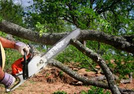 Soil Testing and Treatment in Cherryland, CA